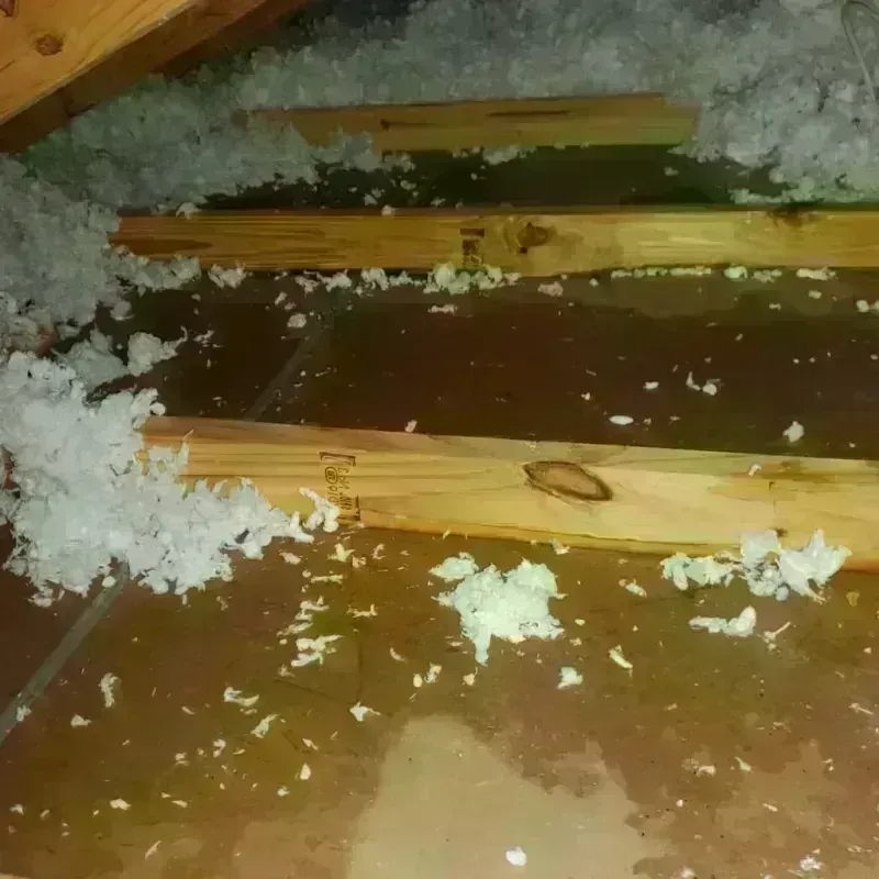 Attic Water Damage in Hidalgo County, NM